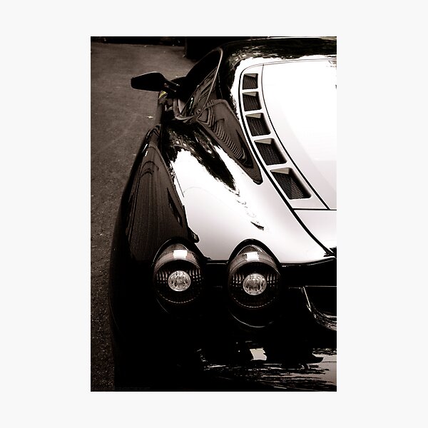 SVELTE Photographic Print