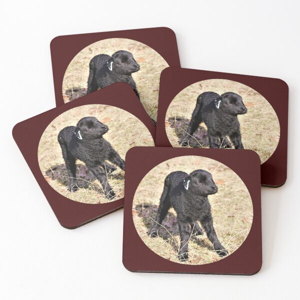 Item preview, New Born Black Welsh Mountain Lamb designed and sold by Oppos  Community Farm.