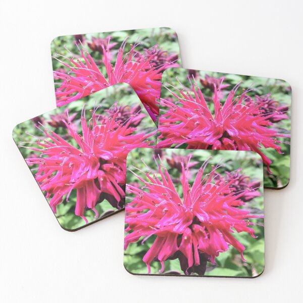 Item preview, Pink Balming Bee it designed and sold by eyly.
