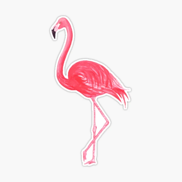 flamingo♡ st,large,507x507-pad,600x600,