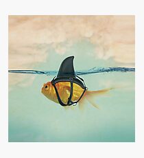 Brilliant Disguise (RM) Photographic Print