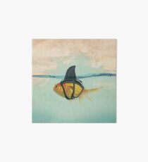 Brilliant Disguise (RM) Art Board Print