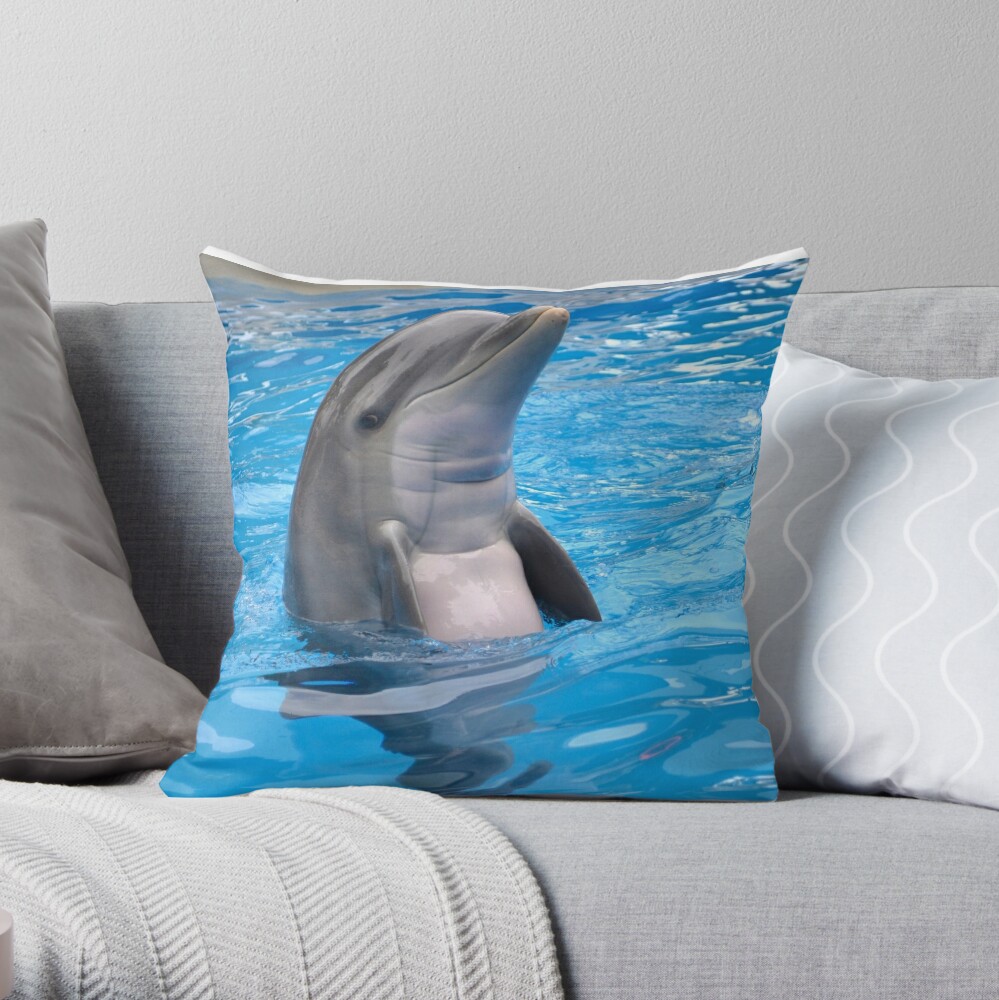 squeaky dolphin pillow pet