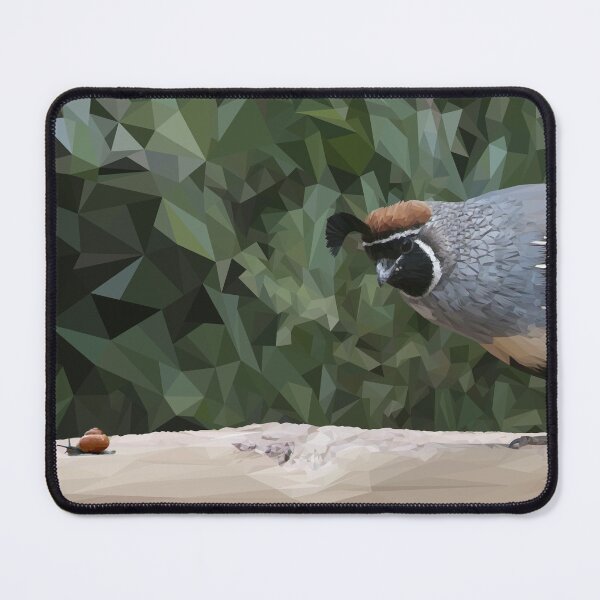 Item preview, Tessellations21 - Quail watching a snail - VBK - VisionsByKaren designed and sold by VisionsByKaren.