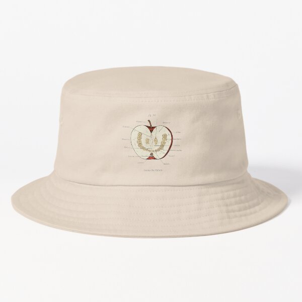 The Magnus Archives - Anatomy Class - Teeth Apple Bucket Hat