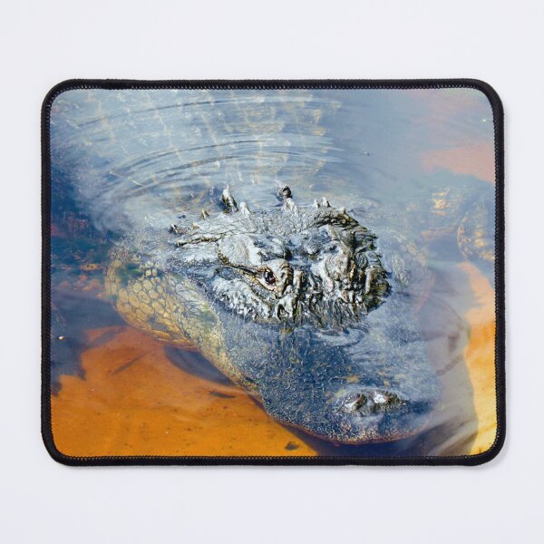 Item preview, My Famous Gator designed and sold by Cynthia48.