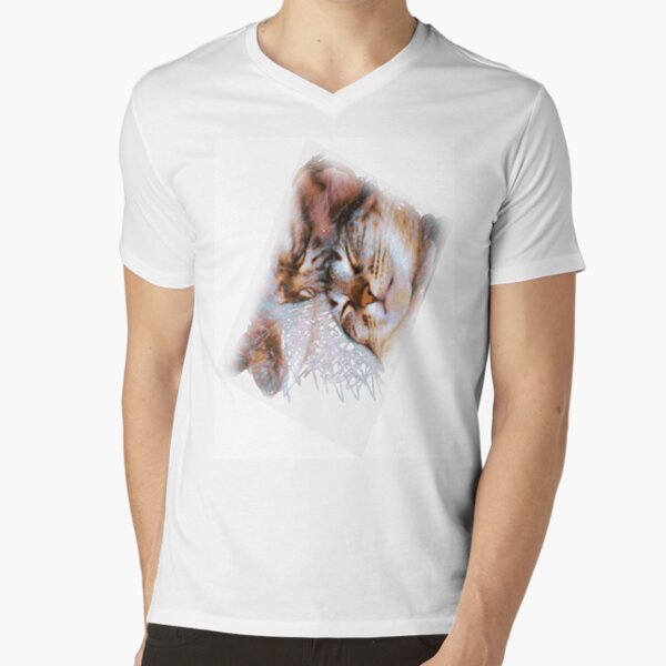 SHARING A DREAM V-Neck T-Shirt