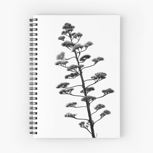 Item preview, Century Plant in Black and White - Modern Botanical Photography  designed and sold by CarolinaReina.