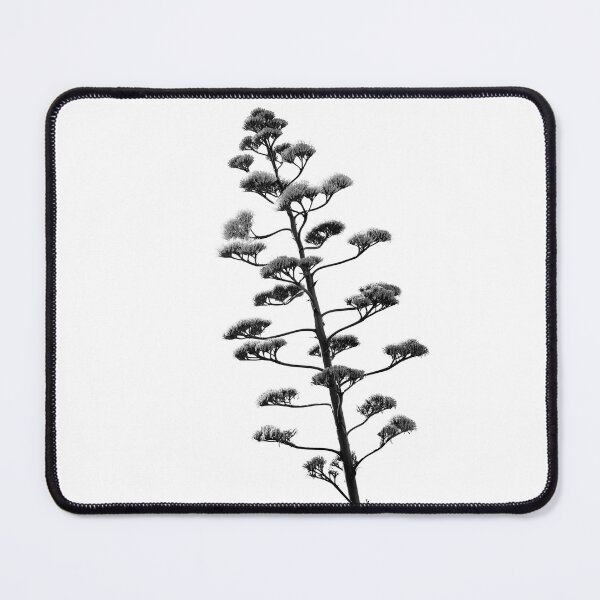 Item preview, Century Plant in Black and White - Modern Botanical Photography  designed and sold by CarolinaReina.