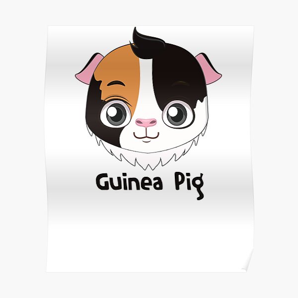 Guinea Pig Poster