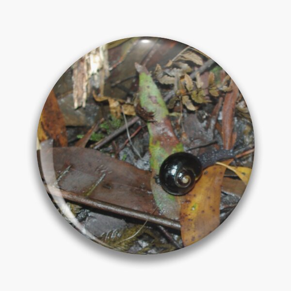 Item preview,  Snail's Pace on the Rainforest Floor - Otway Ranges designed and sold by imaginethis.