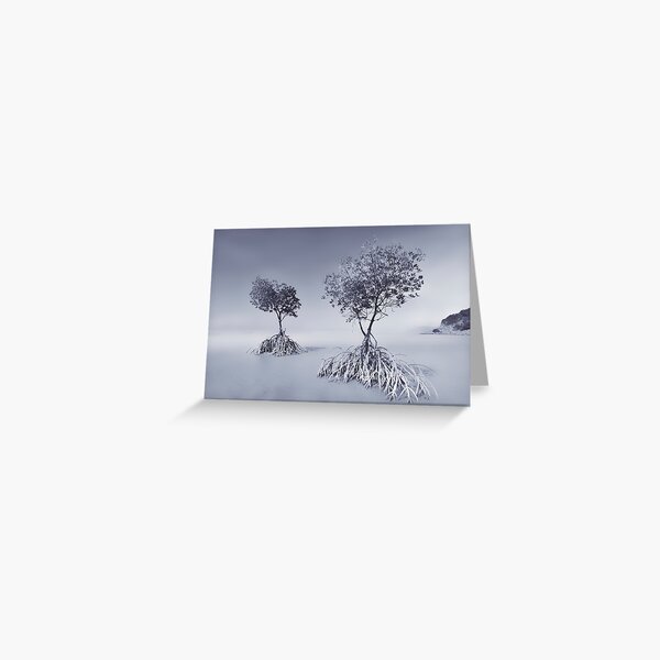 Yule's Point.....The Mangrove Trees Greeting Card