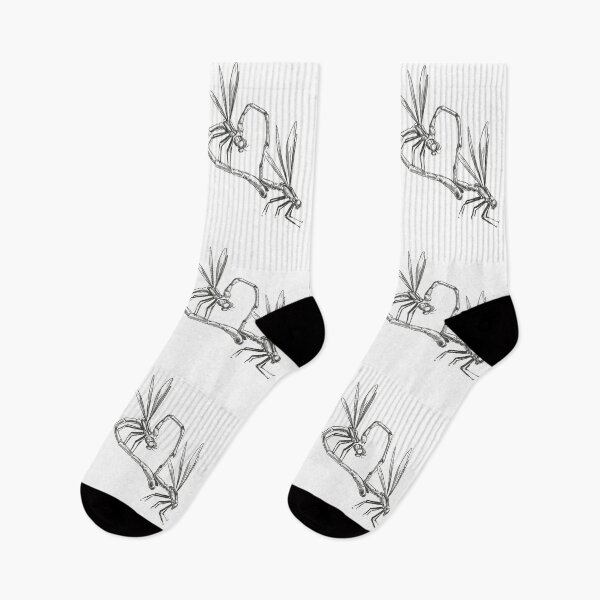 Item preview, dragonflies designed and sold by DerSenat.