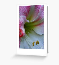 Amarillas Greeting Card