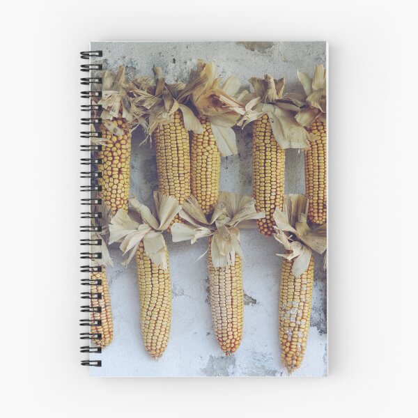 Item preview, Dried corn cobs hanging on wall designed and sold by CarolinaReina.