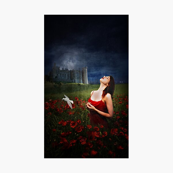 It's My Dreams You Take... Photographic Print