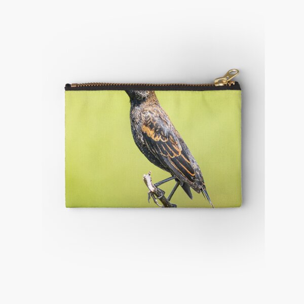 Item preview, Funny female Red Winged Blackbird in a field designed and sold by BestTshirtArt.