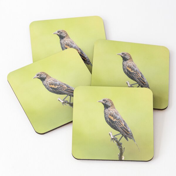 Item preview, Funny female Red Winged Blackbird in a field designed and sold by BestTshirtArt.