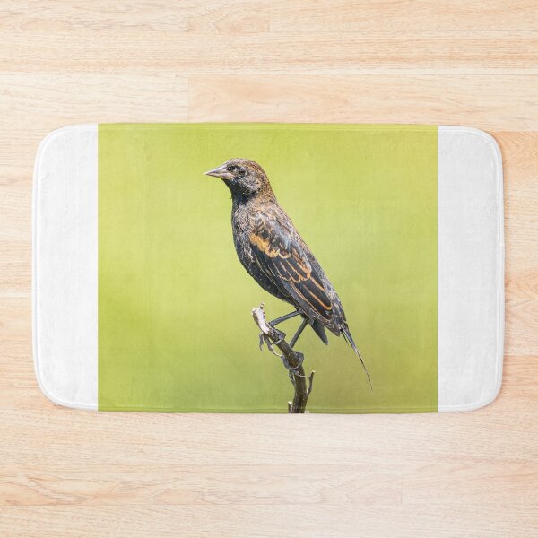 Item preview, Funny female Red Winged Blackbird in a field designed and sold by BestTshirtArt.