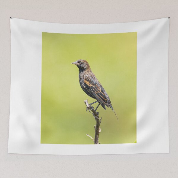 Item preview, Funny female Red Winged Blackbird in a field designed and sold by BestTshirtArt.