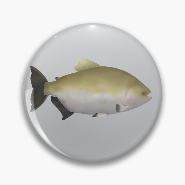 Item preview, Tambaqui designed and sold by fishfolkart.