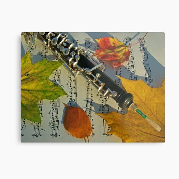 Sunlit Oboe and Sheet Music in Autumn Metal Print