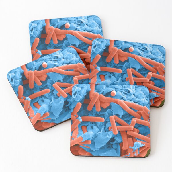 Item preview, E. coli and Macrophages, SEM, Microscope Bacteria designed and sold by ScienceSource.