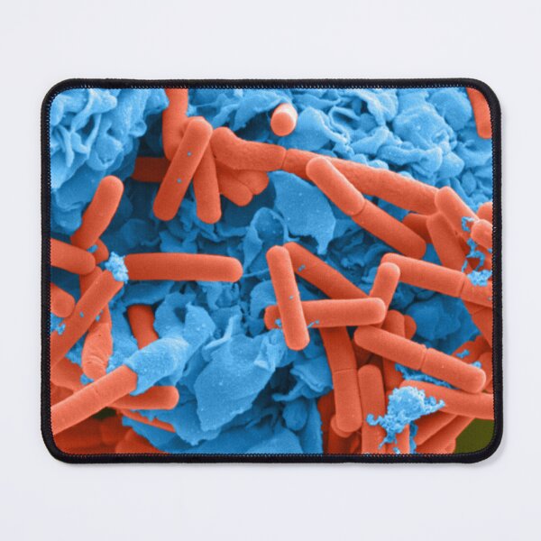 Item preview, E. coli and Macrophages, SEM, Microscope Bacteria designed and sold by ScienceSource.