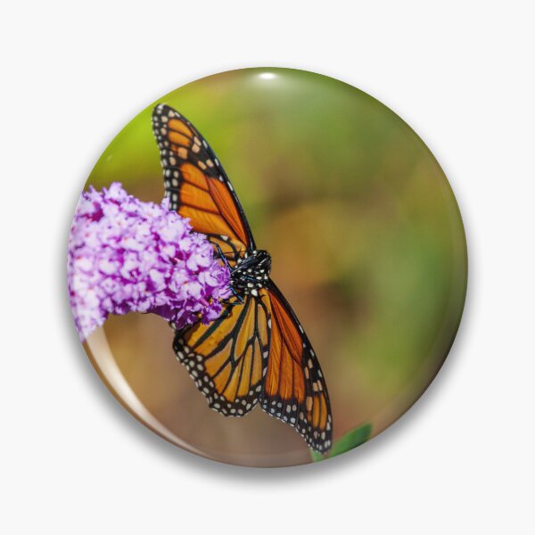 Item preview, A Very Busy Monarch designed and sold by Karol Livote.