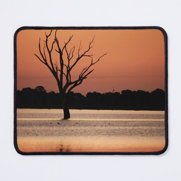 Item preview, Silhouette of a Tree at Dusk - Lake Fyans designed and sold by imaginethis.