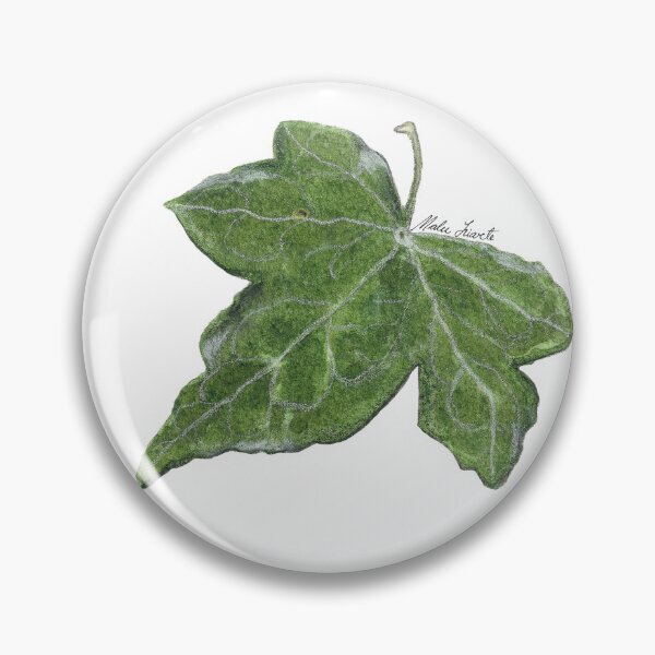 Artikelvorschau, Aquarell-Efeu-Blatt-Illustration entworfen und verkauft von Malu-Iriarte.