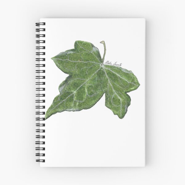 Item preview, Watercolor ivy leaf illustration designed and sold by Malu-Iriarte.