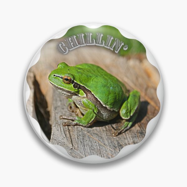 Item preview, Tree frog just chillin. designed and sold by tabykid.