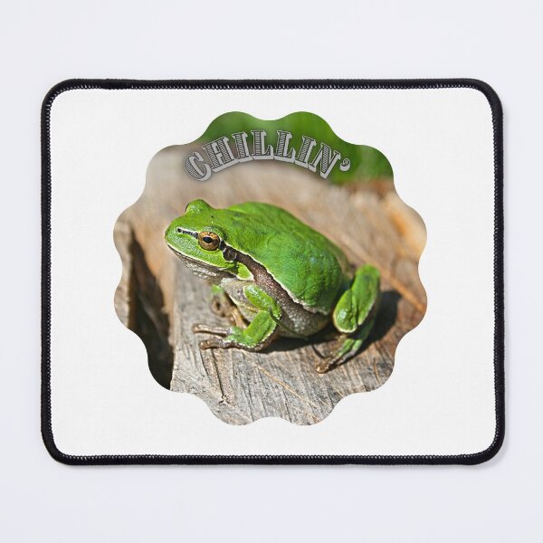 Item preview, Tree frog just chillin. designed and sold by tabykid.