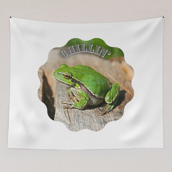 Item preview, Tree frog just chillin. designed and sold by tabykid.