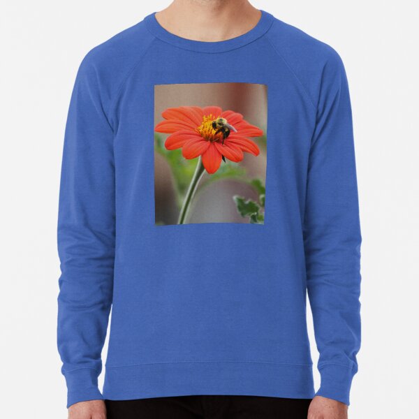 Lightweight Sweatshirt