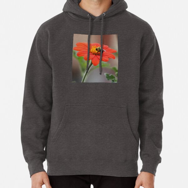 Hoodie (Pullover)