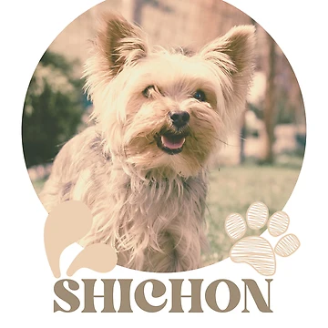 Artwork thumbnail, Shichon Dogs by CollectionOS