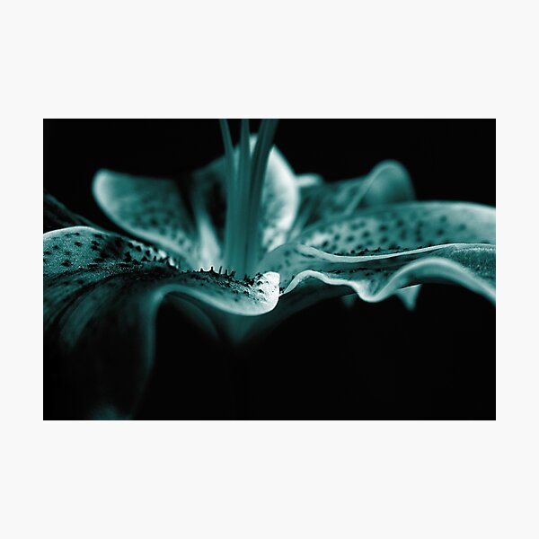Blue Perfection Photographic Print