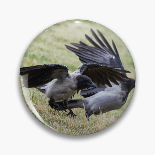 Item preview, Run for the treasure. Hooded crow designed and sold by Jouko Lehto Photography.