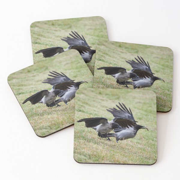 Item preview, Run for the treasure. Hooded crow designed and sold by Jouko Lehto Photography.