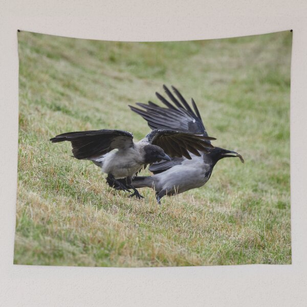 Item preview, Run for the treasure. Hooded crow designed and sold by Jouko Lehto Photography.