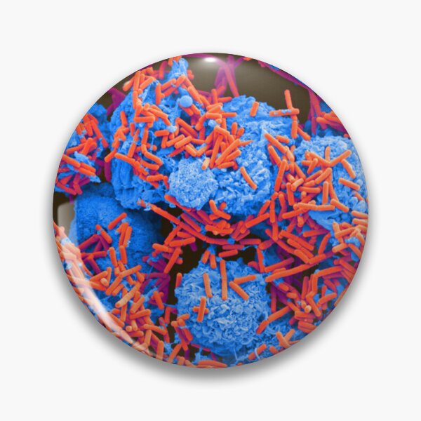 Item preview, E. coli and Macrophages, SEM, Microscope Bacteria designed and sold by ScienceSource.