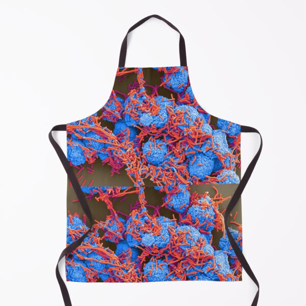 Item preview, E. coli and Macrophages, SEM, Microscope Bacteria designed and sold by ScienceSource.