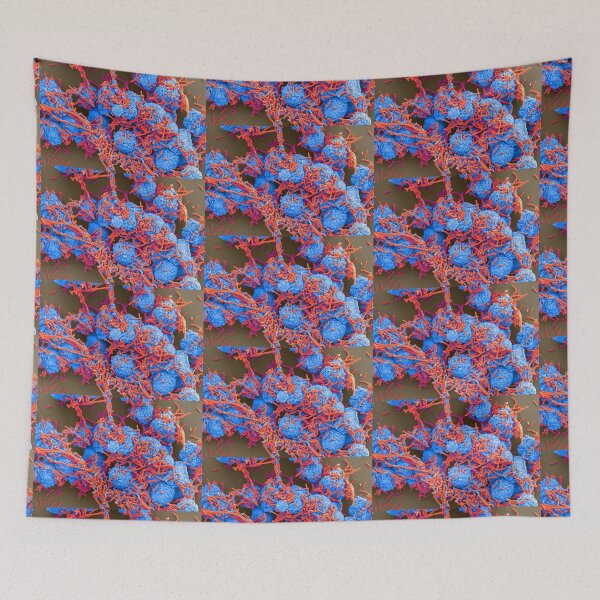 Item preview, E. coli and Macrophages, SEM, Microscope Bacteria designed and sold by ScienceSource.