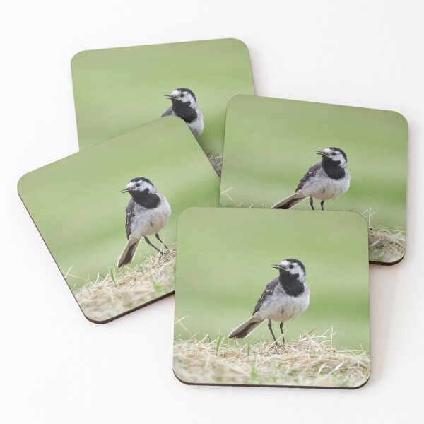Item preview, White wagtail portrait designed and sold by Jouko Lehto Photography.