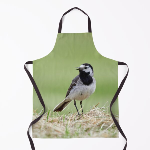 Item preview, White wagtail portrait designed and sold by Jouko Lehto Photography.