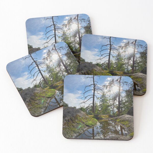 Item preview, Reflection of the hillside trees designed and sold by Jouko Lehto Photography.