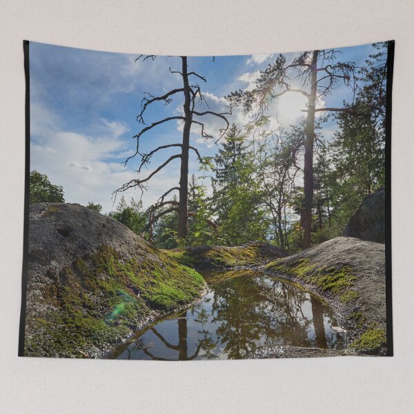 Item preview, Reflection of the hillside trees designed and sold by Jouko Lehto Photography.