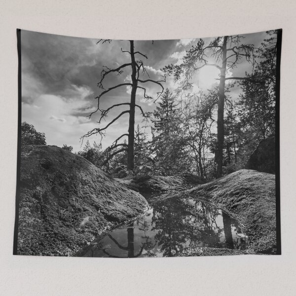 Item preview, Reflection of the hillside trees bw designed and sold by Jouko Lehto Photography.